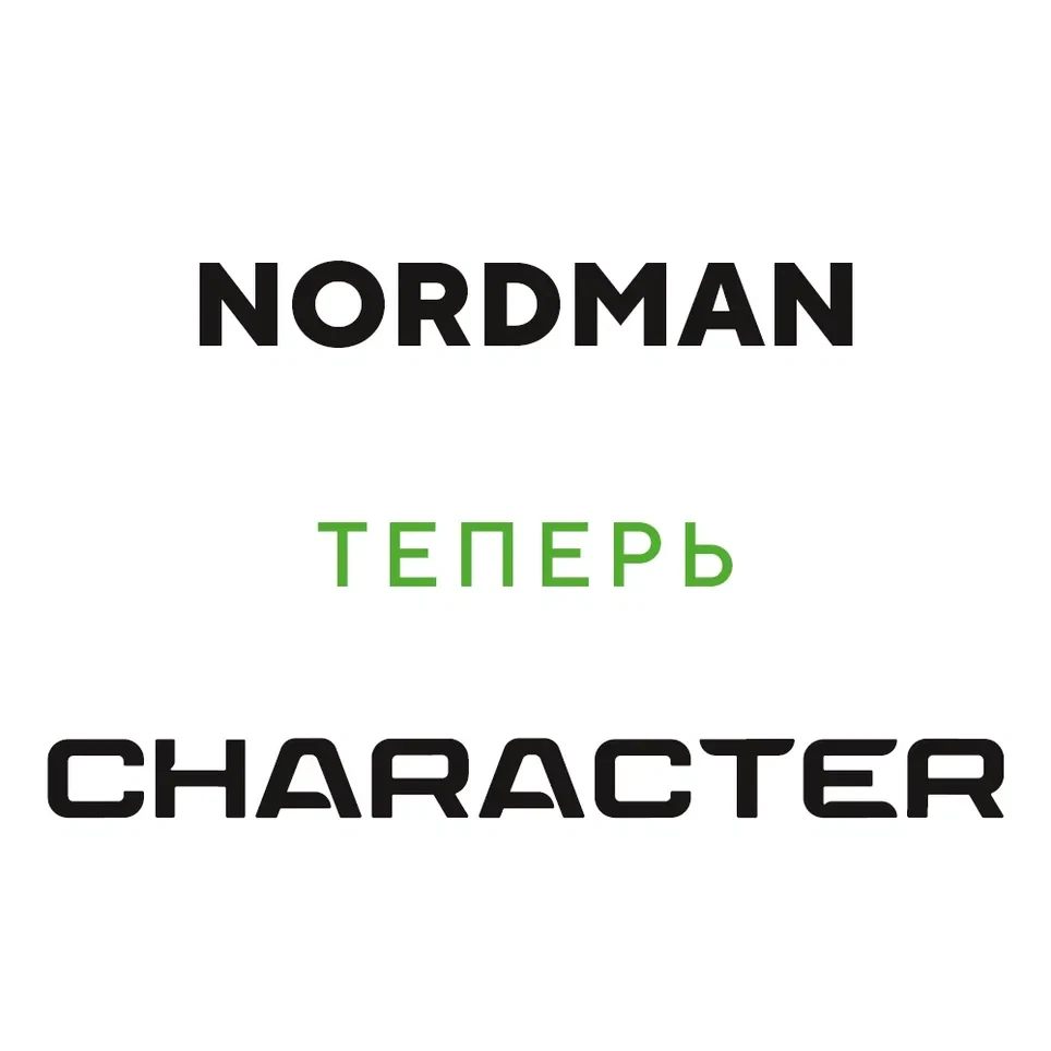 Ikon (Nokian Tyres) Character Eco (Nordman SX3) 195/55 R16 91H (XL) цена
