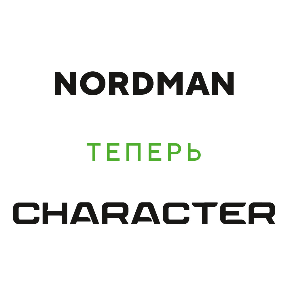 Ikon (Nokian Tyres) Nordman SZ2 225/55 R17 101W (XL) цена